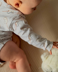Romper met Hobby Horses